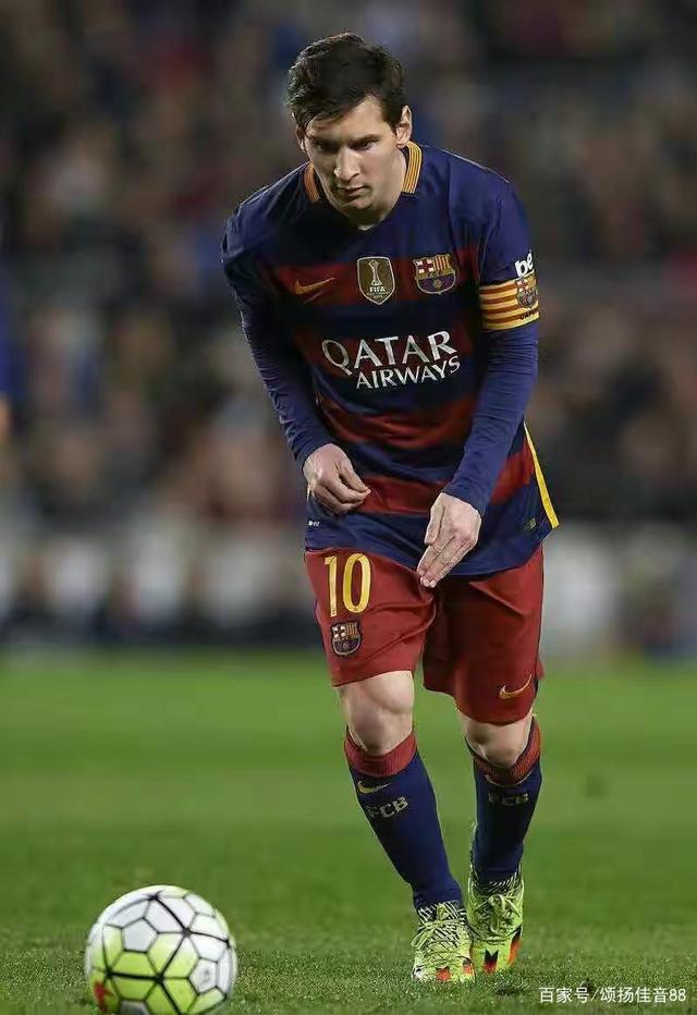 公牛则以中 公牛则以中